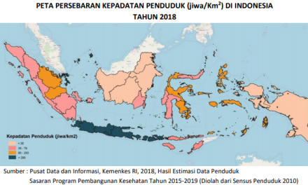 Menilik Statistik Kesehatan Indonesia :  Demografi